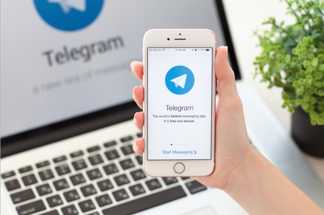 Подписывайтесь на наш канал в Telegram