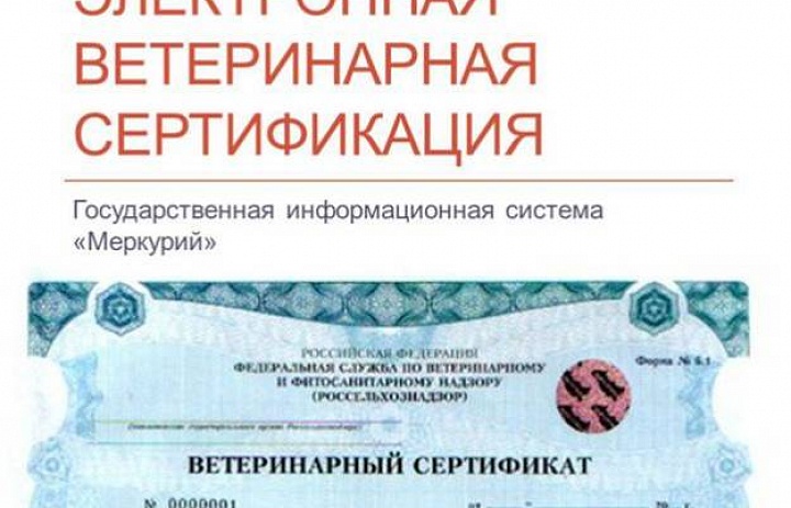 Новость проекта. Теперь в Ленобласти можно узнать о качестве продуктов при помощи смартфона и QR-кодов